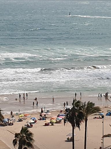 Monveterinari, S.l. – Canals