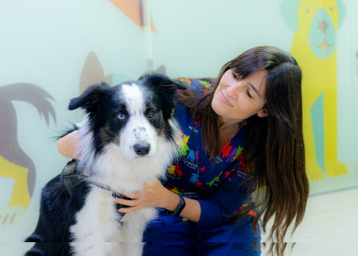 Monvets Centre Veterinari – Barcelona