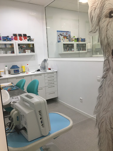 Morera Clínica Veterinaria – Sabadell