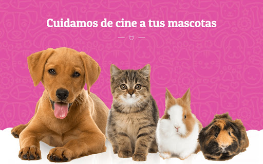 Moviecan Veterinarian – Los Santos de la Humosa