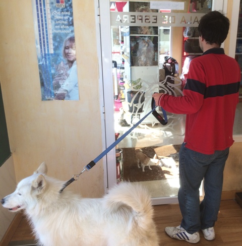 Mundo Vet Centro Veterinario – Trobajo del Camino