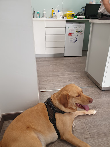 Nacho Anadón Veterinari – Lleida