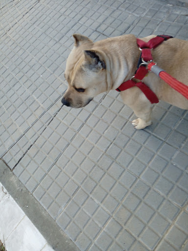 Natural Veterinaris – Canyelles