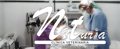 Naturia Clínica Veterinaria – Riba-roja de Túria