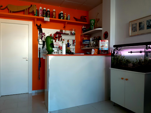 Nauru Clínica Veterinaria – La Zubia