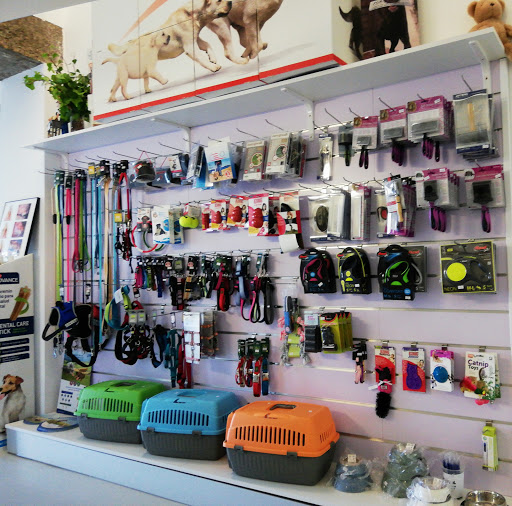 Océano Clínica Veterinaria – Badajoz