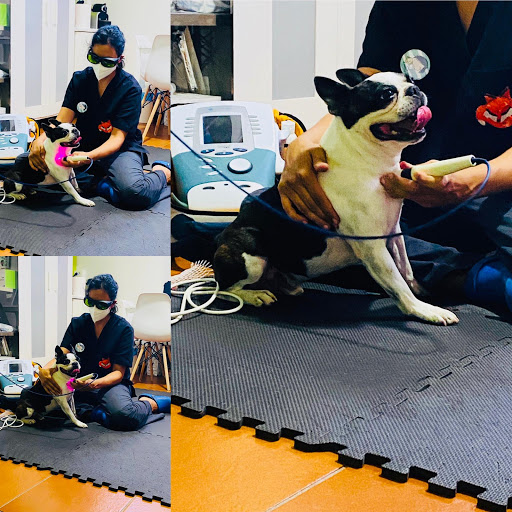 Os Durans Centro Veterinario – Vilagarcía de Arousa