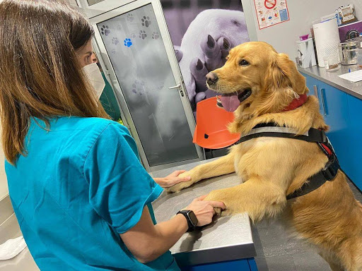 P.a.c. Veterinario San Lázaro – Santiago de Compostela