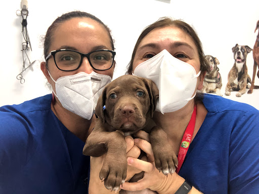 Peluditos Centro Veterinario – Las Palmas de Gran Canaria