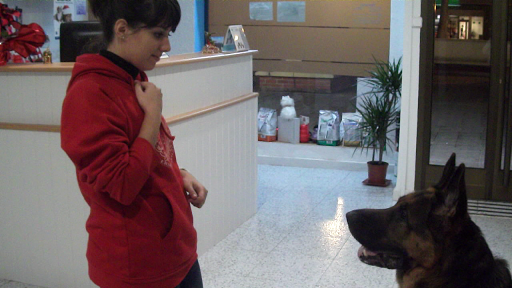 Pet And Vet Veterinarios En Positivo – Zaragoza