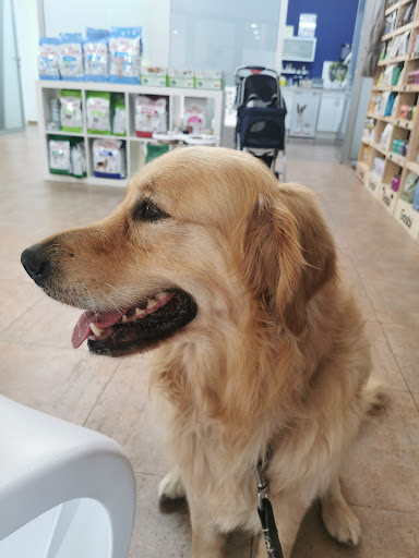Pet Doctors Clínica Veterinaria – Punta Prima