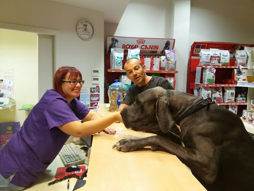 Pratdesaba Veterinaris Calldetenes – Calldetenes