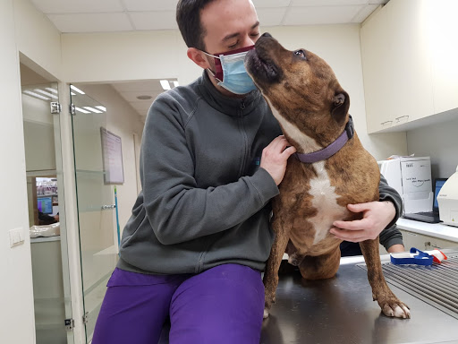 Pratdesaba Veterinaris Malla – Malla