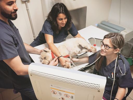 Pratdesaba Veterinaris Taradell – Taradell