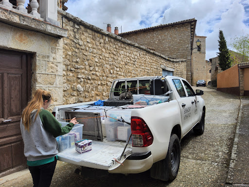 Quirón Veterinarios – Cubillas de Santa Marta