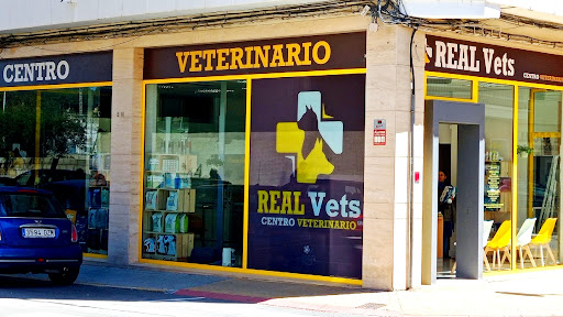 Realvets Centro Veterinario – El Real de Gandia