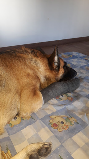 Rollon + Rodriguez Veterinarios – Poligono Tres Caminos