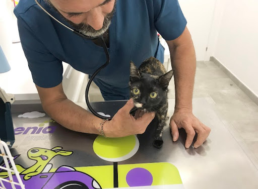 Sabuesos Clínica Veterinaria – Vigo