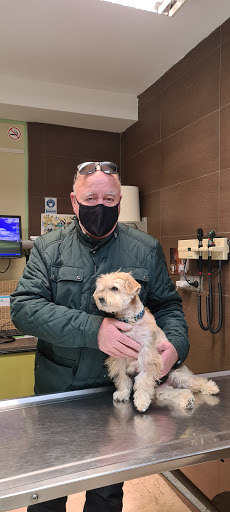 Salinas Clínica Veterinaria – Salinas