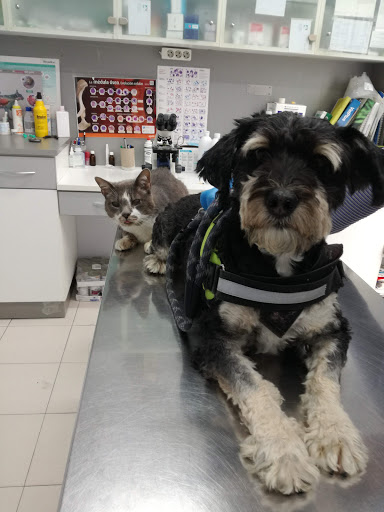San Francisco Clínica Veterinaria – Castro Urdiales
