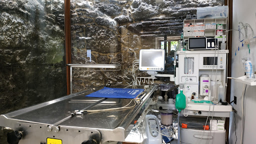 Sanaben Centro Veterinario – Santa Margarida