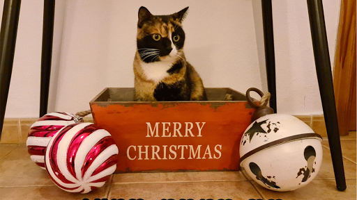 Serveis Veterinaris Tramuntana – Esporles