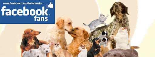 Sil Veterinarios – O Barco