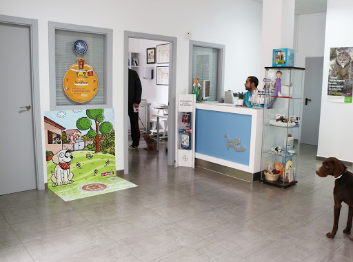 Solana Clínica Veterinaria – La Solana