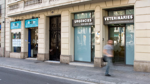 Survet Hospital Veterinario D’urgències 24h – Barcelona