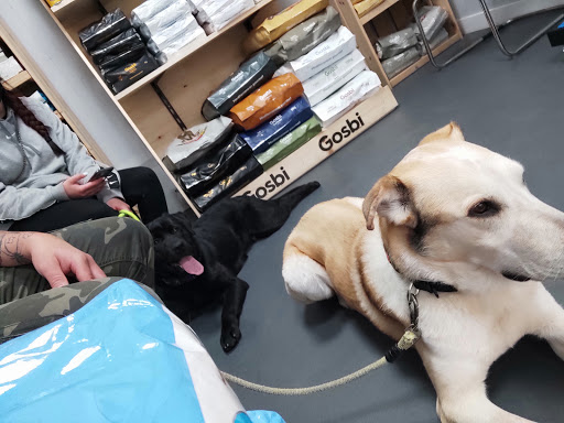 Tartanga Castro Urdiales Clínica Veterinaria – Castro Urdiales