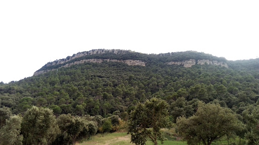 Tav Veterinary S.l. – Sant Martí de Centelles