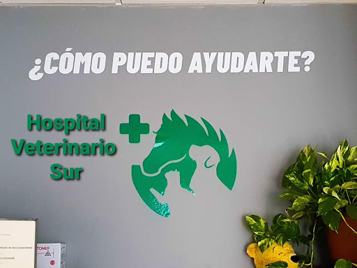 Tenerife South Clínica Veterinaria Hospivet – Las Chafiras