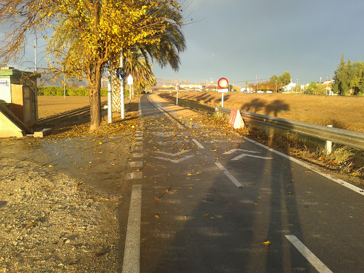 Totana Veterinaria S.l. – Totana