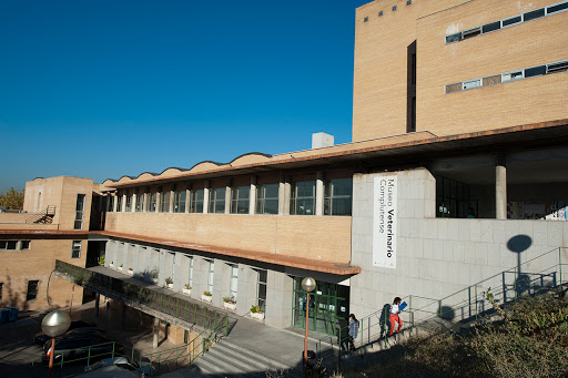 Ucm Faculty Of Veterinary Medicine – Madrid