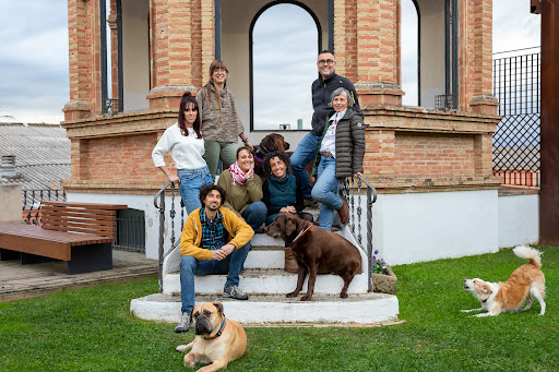 Uetus Centre Veterinari – Caldes de Malavella