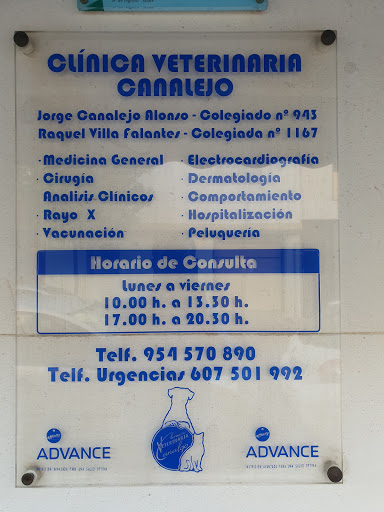 Urgencias Veterinarias – Clínica Canalejo – Sevilla