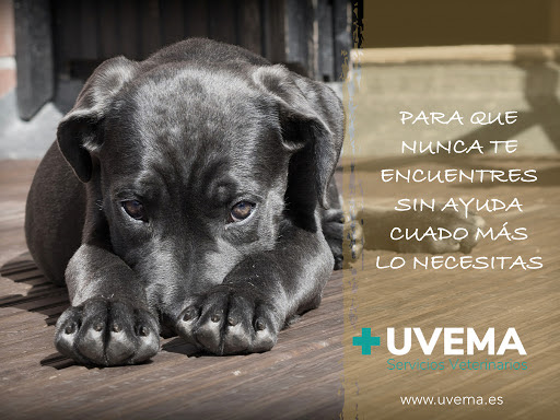 Uvema Servicios Veterinarios – Tres Cantos