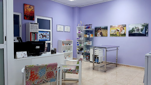 Vernissavet Centre Veterinari – Ador