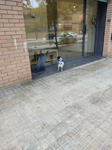 Vetalia Clínica Veterinaria – Valencia