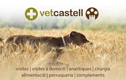 Vetcastell Centre Veterinari – Castellterçol