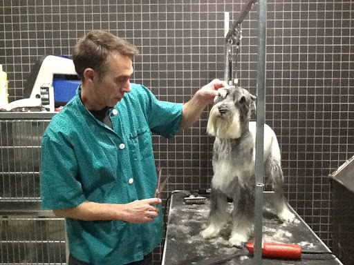 Vetclinics Benissa – Benissa