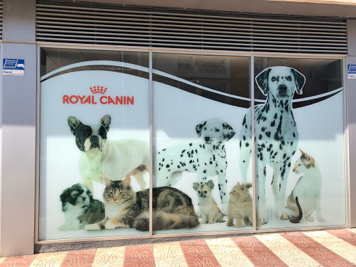 Vetclinics Teulada – Teulada