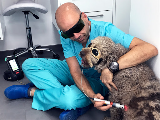 Veterín Centro Veterinario – Mairena del Aljarafe