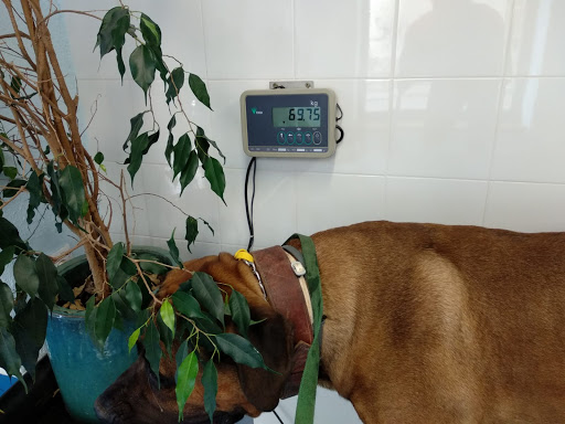 Veterinais Ametlla-miami-cambrils S.l. – Ametlla de Mar