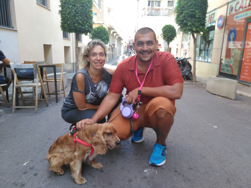 Veterinari Espalter 22 Slp – 24h Urgencias – Sitges