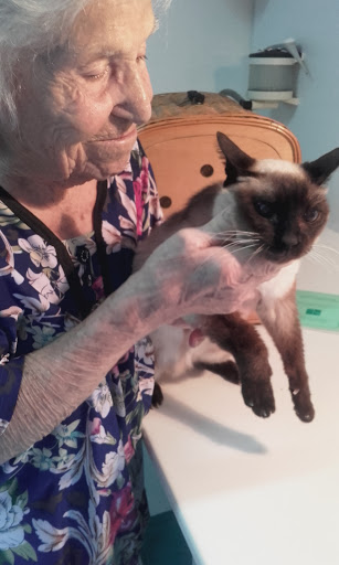 Veterinari Parets – Barcelona