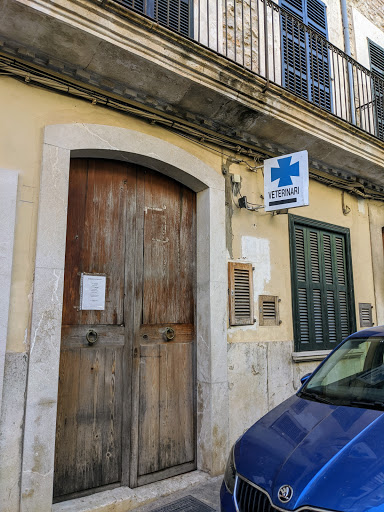 Veterinari – Sencelles