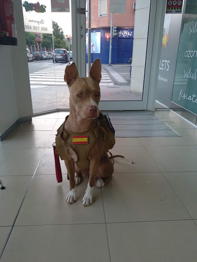 Veterinaria Animalets – Alzira