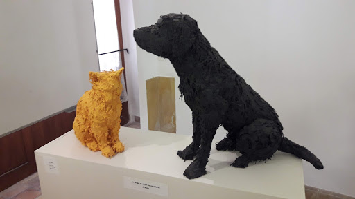 Veterinaria Costitx – Costitx