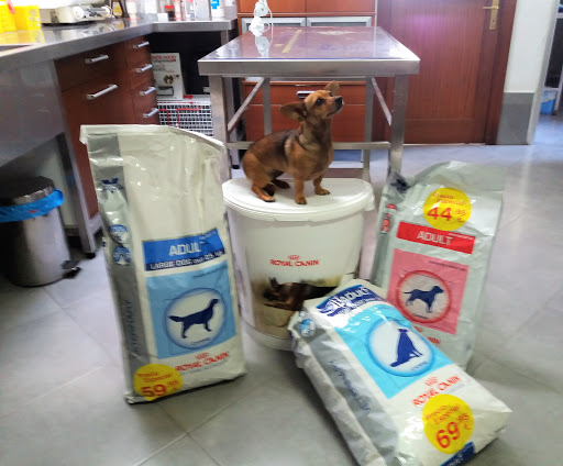 Veterinaria El Norte – Haría